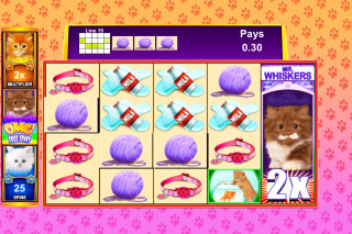 Free omg kittens slots