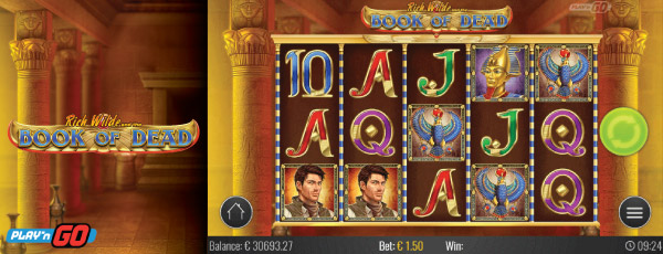 Play'n GO Book of Dead Mobile Slot Reels