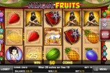 Play Ninja Fruits Mobile Slot Exclusively at Leo Vegas