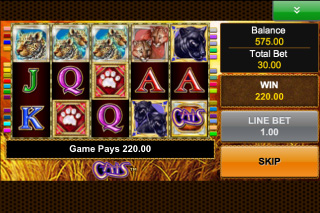 Cats Mobile Slot Screenshot