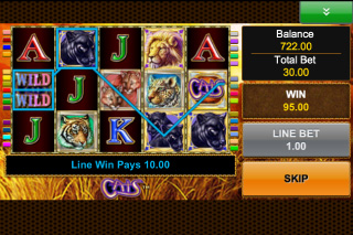 Cats Mobile Slot Win
