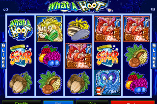 What A Hoot Mobile Slot Screenshot