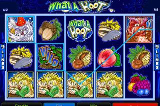 What A Hoot Mobile Slot Win