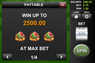 Wild Melon Classic Slot Max Bet Win