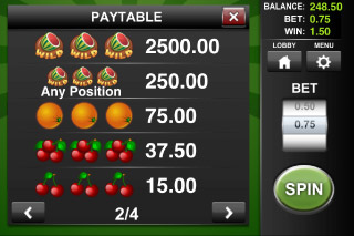 Wild Melon Classic Slot Paytable