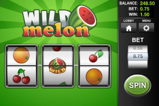 Wild Melon Classic Slot Screenshot
