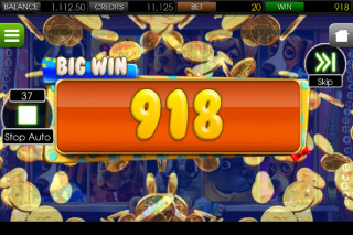 Puppy Love Mobile Slot Big win