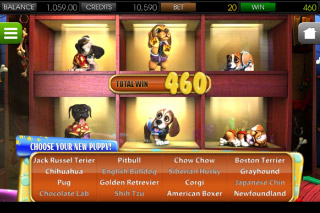 Puppy Love Mobile Slot Pick Me