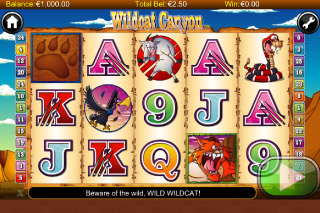 Wildcat Canyon Mobile Slot Screenshot