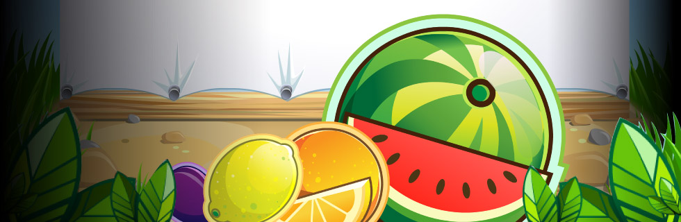 fruit shop slot game