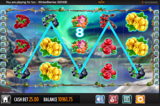 Winter berries slot machine Winter berries slot machine