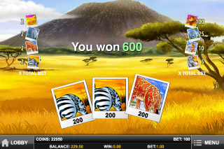 Photo Safari Mobile Slot Pick Me