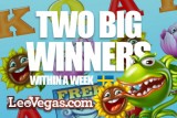 Flowers & Mega Joker Slot, Lucky for Two Big Winners at Leo Vegas