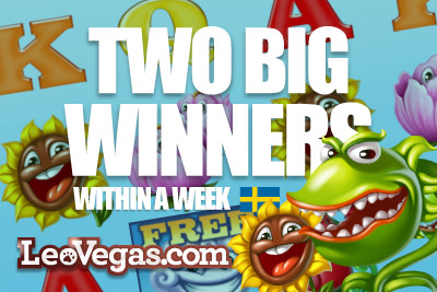 Flowers & Mega Joker Slot, Lucky for Two Big Winners at Leo Vegas