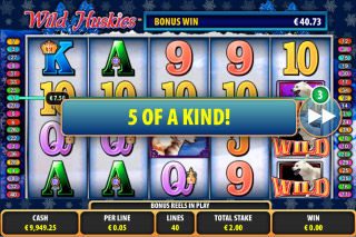 Wild Huskies Mobile Slot 5 of Kind Win