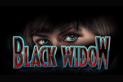 Casino software Casino software