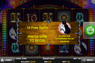 Fortune Teller Mobile Slot Free Spins