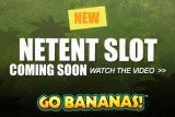 Cheeky New Video Slot from NetEnt Coming in September 2014