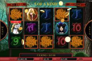 Robyn Mobile Slot 5 of a Kind