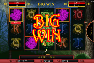 Robyn Mobile Slot Big Win