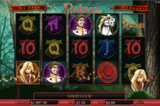 Robyn Mobile Slot Screenshot