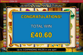 Genie Wild Free Spins Win