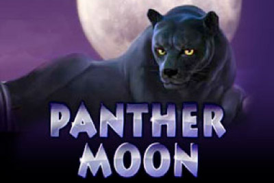 Free panther moon slot machine