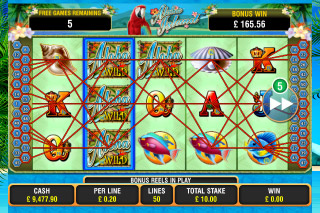 Aloha Island Mobile Slot Winning Lines