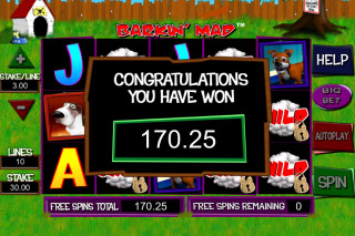 Barkin Mad Mobile Slot Big Win