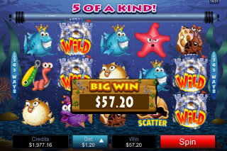Fish Party Mobile Slot Big Win