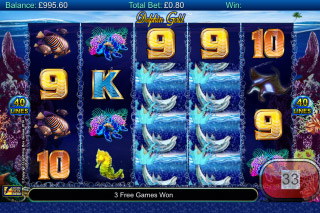 Dolphin Gold Mobile Slot Reels