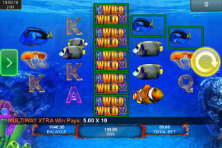 Pacific Paradise Mobile Slot Wilds