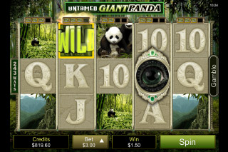 Untamed Giant Panda Mobile Slot Reels