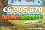 Mega Moolah Slot Big Winner