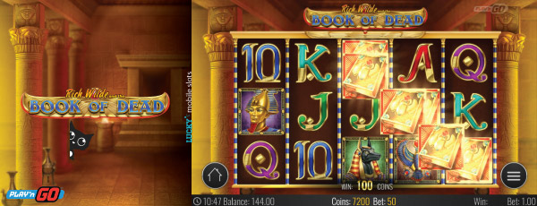 Book of Dead Slot Win