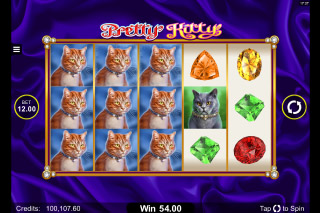 Pretty Kitty Mobile Slot Reels