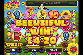 Double Your Honey Mobile Slot Win