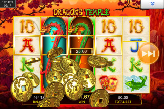 Slots village free spins