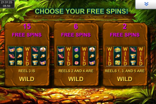 Golden Jungle Mobile Slot Free Spins Choice