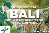Win A Bali Trip & Real Cash Prizes