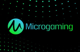 Microgaming Casino Slots Provider