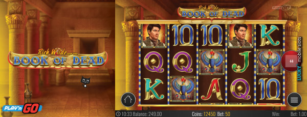 Play'n GO Book of Dead Slot Machine