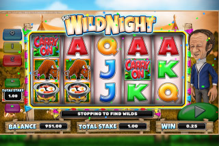 Carry On Camping Mobile Slot Wild Night