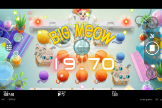 Not Enough Kittens Mobile Slot Big Win
