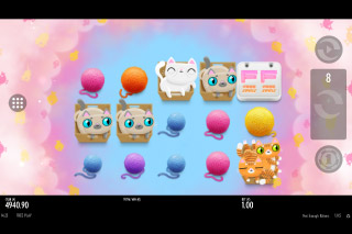 Not Enough Kittens Mobile Slot Free Spins