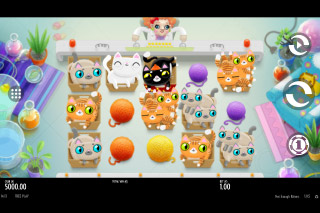 Not Enough Kittens Mobile Slot Machine