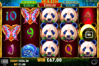Pandas Fortune Mobile Slot Stacked Symbols