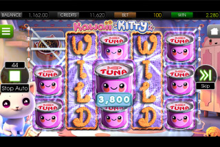 Kawaii Kitty Slot Big Win