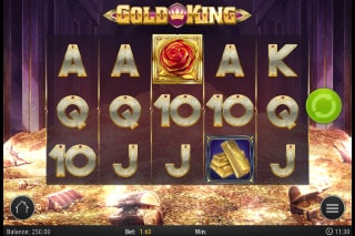 Gold King Mobile Slot Machine