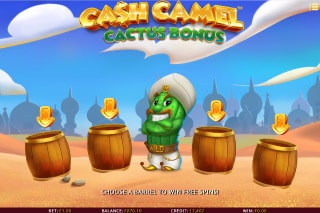 iSoftbet Cash Camel Slot Cactus Bonus Game
